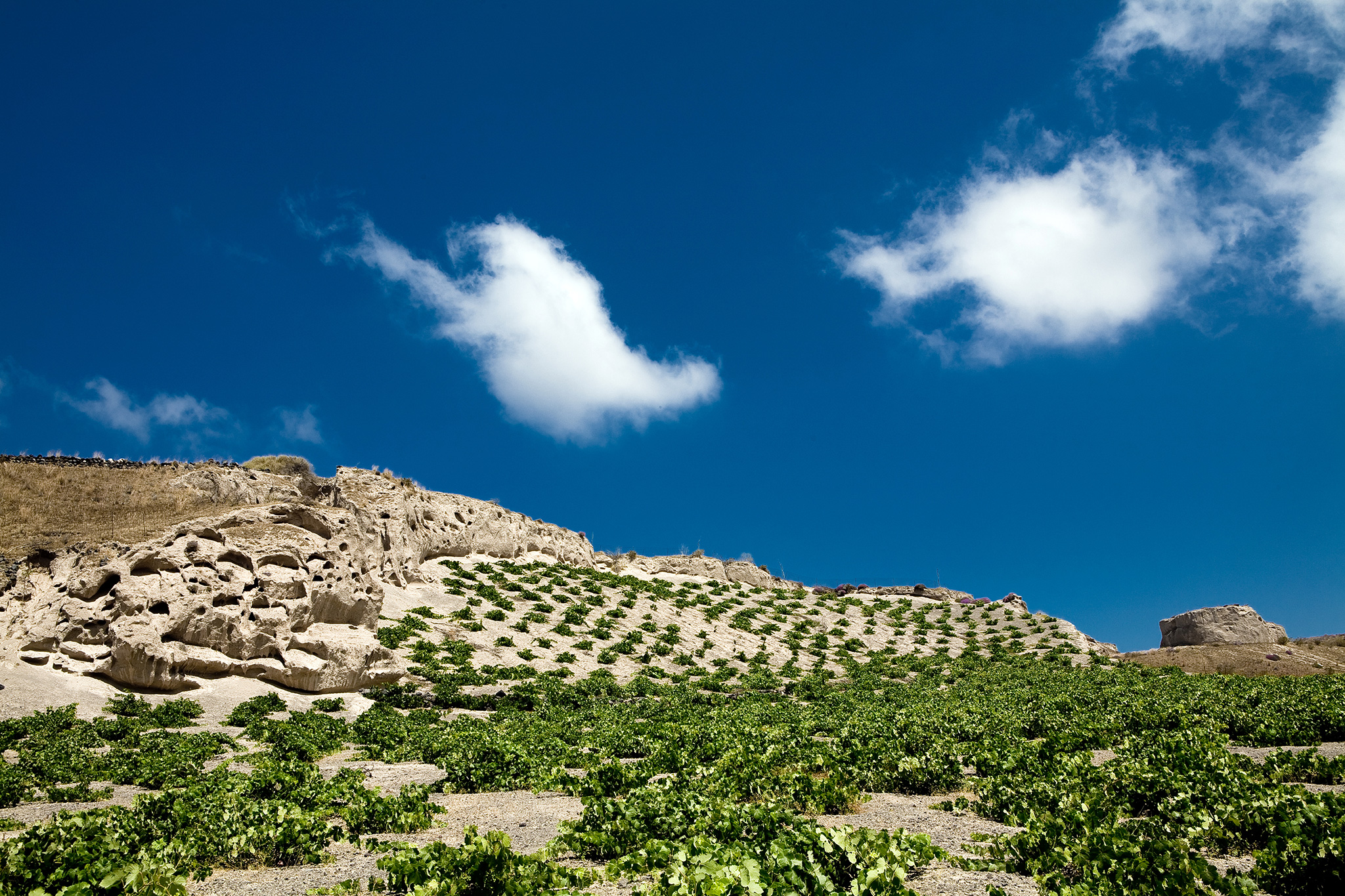 05 | Taste Assyrtiko and Vinsanto wine